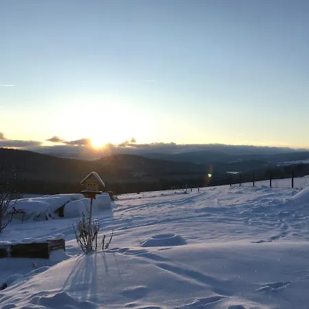 Im Erzgebirge Stutzengrun