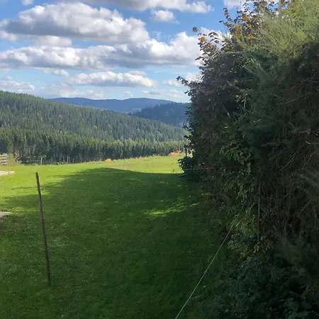 Im Erzgebirge *