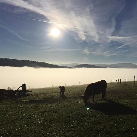 Im Erzgebirge * Stutzengrun