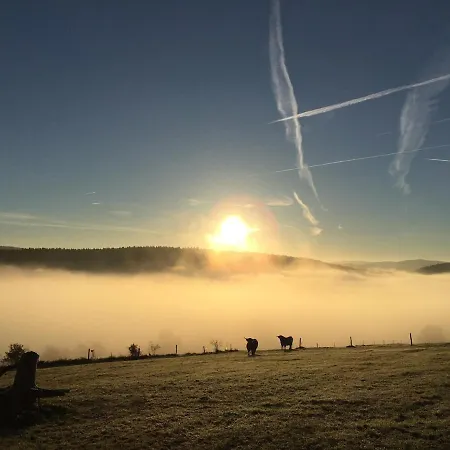 Im Erzgebirge * Stutzengrun