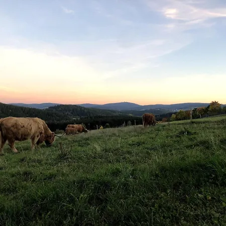 Dom wakacyjny Im Erzgebirge *