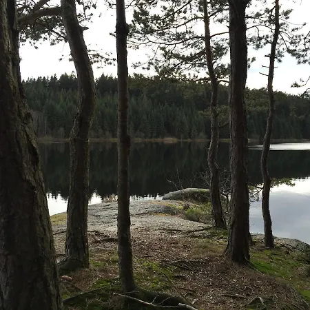 Im Erzgebirge * Stutzengrun